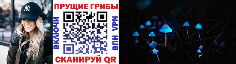 Галлюциногенные грибы Psilocybine cubensis Рыбное